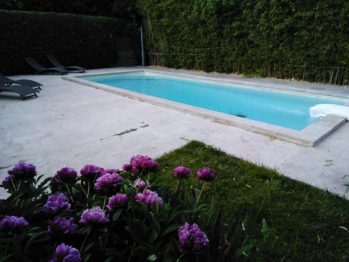 Le Petit Palais Maisonnette Aparthotel Avignone Esterno foto
