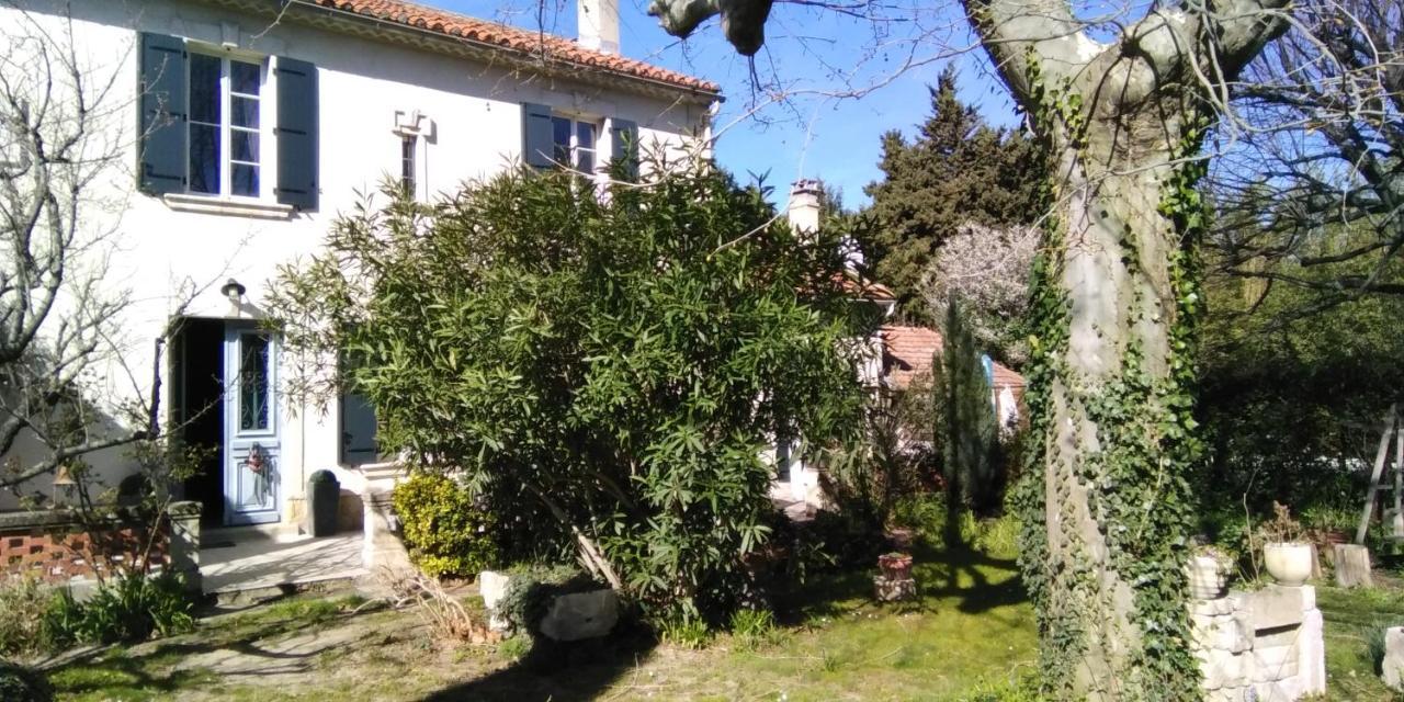 Le Petit Palais Maisonnette Aparthotel Avignone Esterno foto