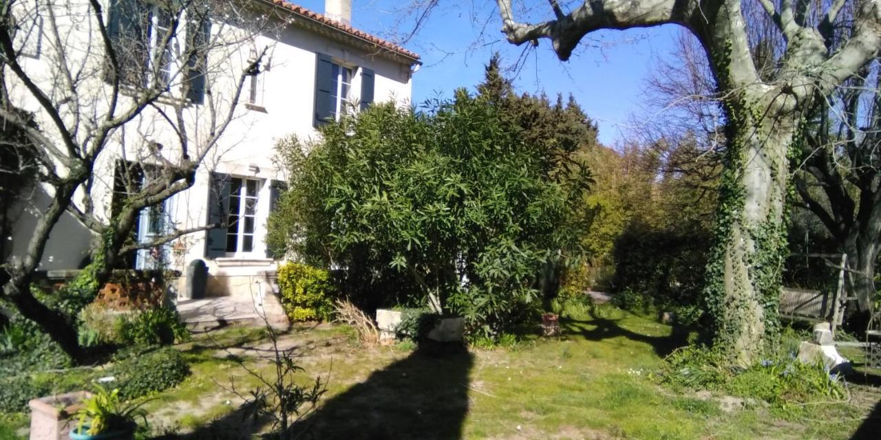 Le Petit Palais Maisonnette Aparthotel Avignone Esterno foto