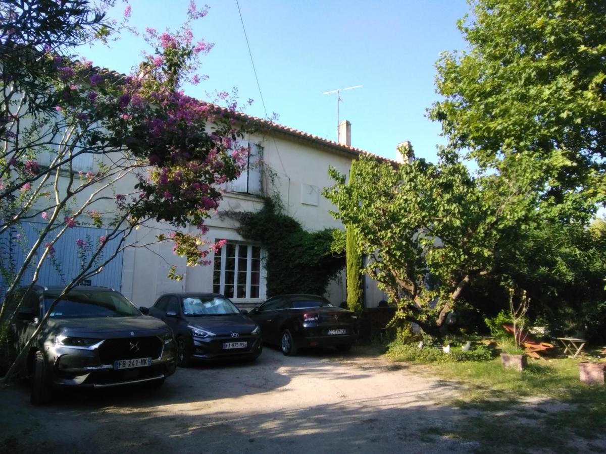 Le Petit Palais Maisonnette Aparthotel Avignone Esterno foto